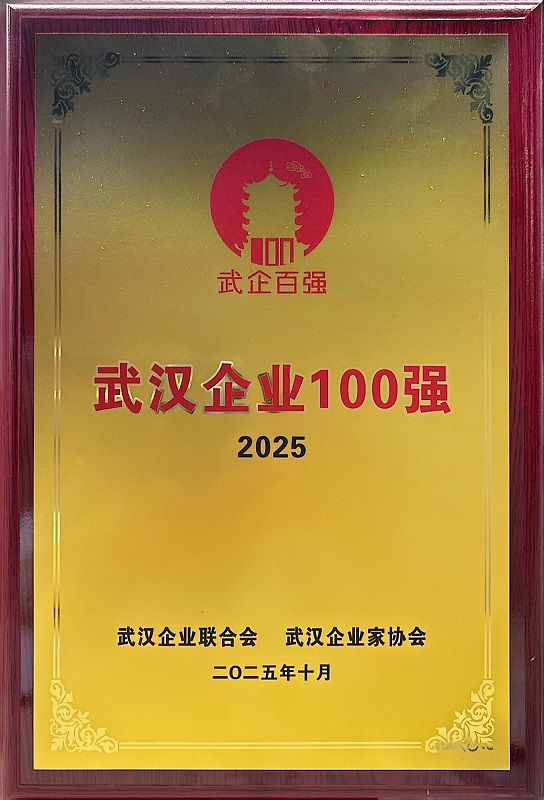2025年武漢企業(yè)百強(qiáng)